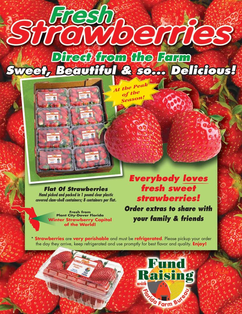 Strawberry Brochure